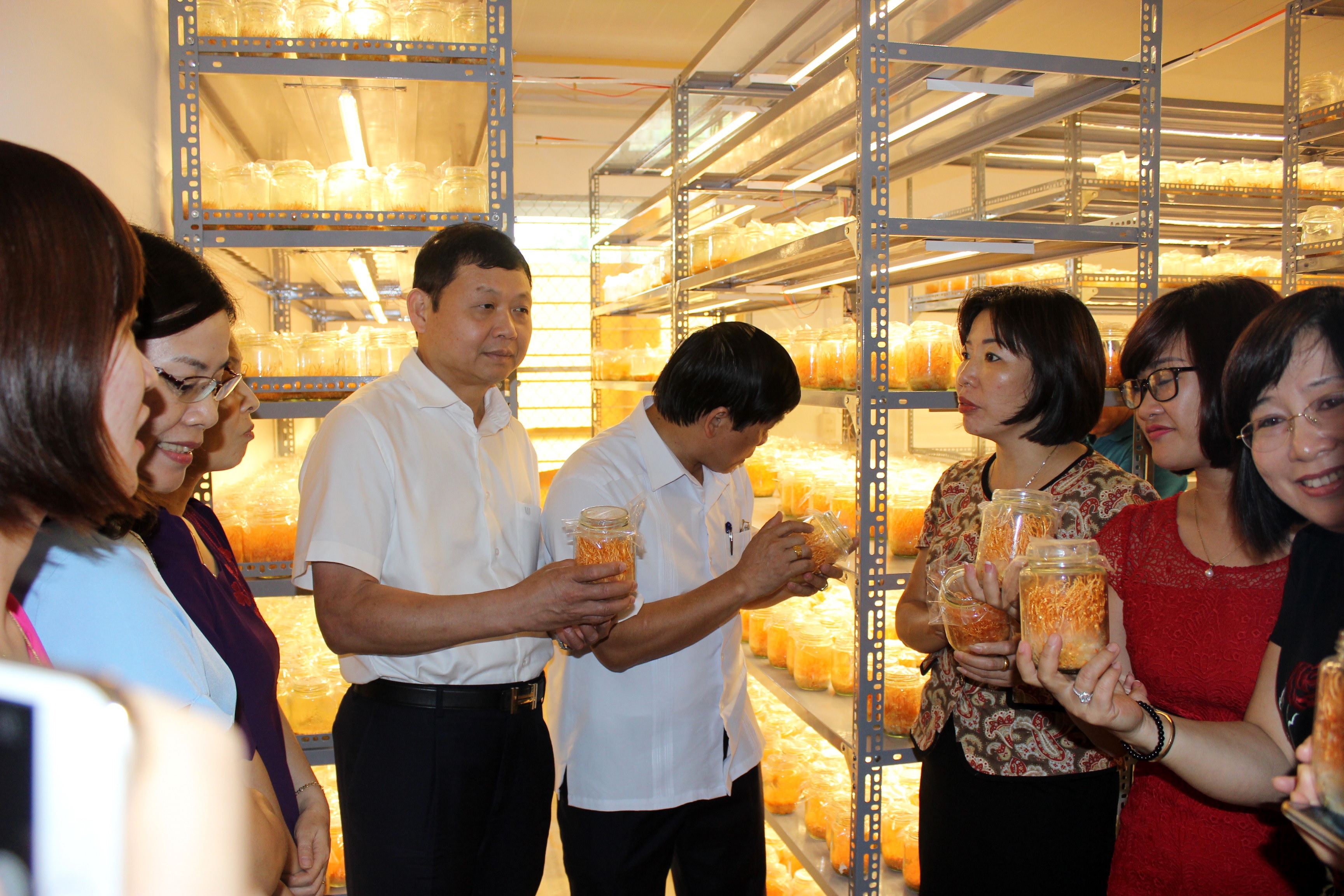 Đoàn công tác của Sở Tài Nguyên và Môi trường tỉnh Phú Thọ thăm quan và làm việc tại Viện Nghiên cứu và Phát triển Lâm nghiệp