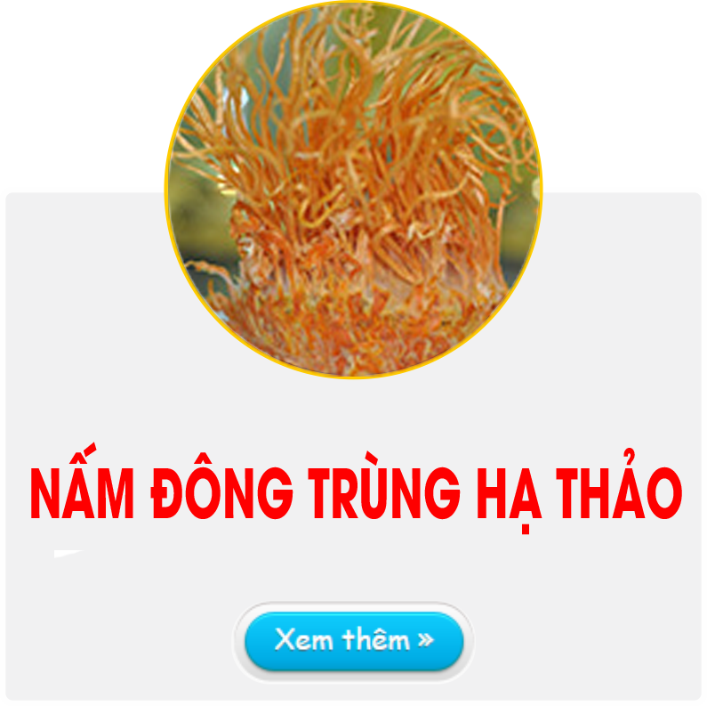 Nam Dong trung ha thao