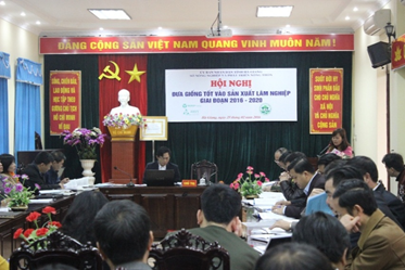 Hội nghị “ Đưa giống tốt vào sản xuất lâm nghiệp ” giai đoạn 2016 – 2020     tại TP- Hà Giang