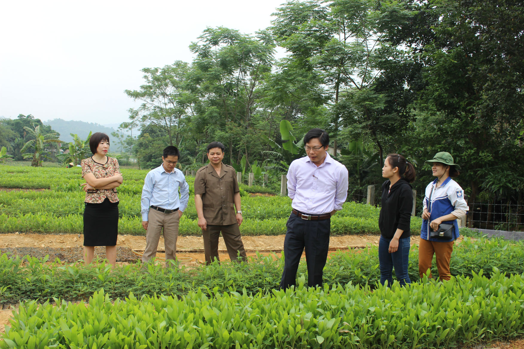 Lãnh đạo Sở Nông nghiệp & PTNN Hà Giang thăm và làm việc tại Vườn ươm Đạo Đức